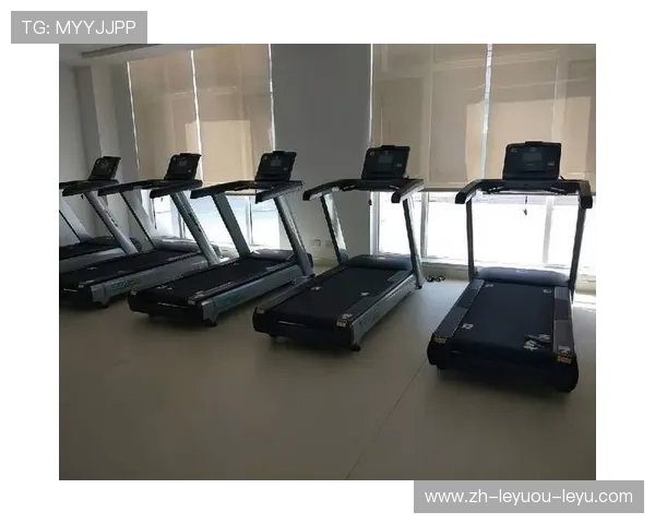 高端健身器材全景指南：提升训练效果的必备装备